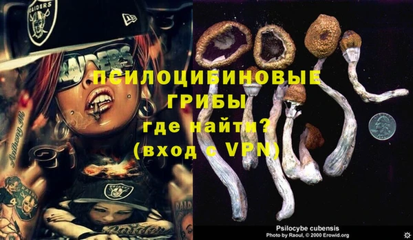 гашик Абинск