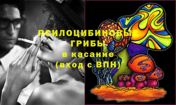 Альфа ПВП Абаза